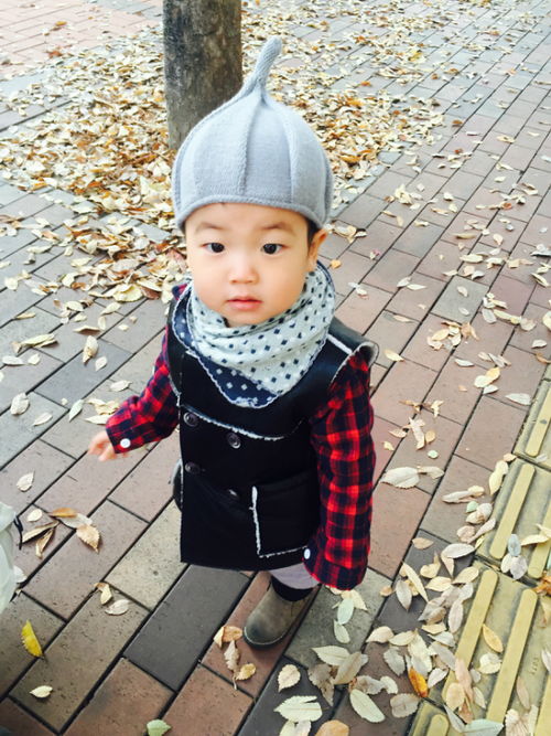 湖北2岁宝宝旅游,2岁小孩旅游 湖北2岁宝宝旅游,2岁小孩旅游