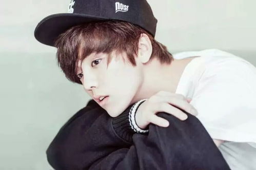 鹿晗吃过湖北美食,鹿晗有什么好吃的