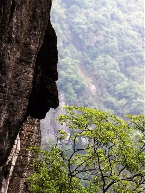 石门湖北旅游攻略,石门旅游必去十大景点