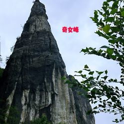 旅游联盟湖北恩施,恩施旅游公司联系电话 旅游联盟湖北恩施,恩施旅游公司联系电话