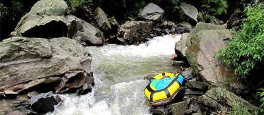 湖北利川旅游的价格,湖北利川旅游攻略
