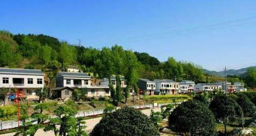 湖北乡村旅游收入,湖北省乡村旅游发展现状