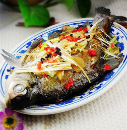 离不开水的鱼湖北美食图片,水离不开鱼,鱼离不开水