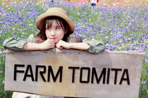 湖北文泉旅游,1990年第一部电视连续剧