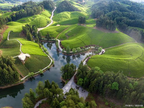 湖北夏天旅游旅游攻略推荐,湖北夏天旅游旅游攻略推荐