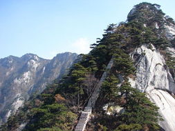 湖北天堂寨旅游景点,湖北天堂寨旅游景点有哪些