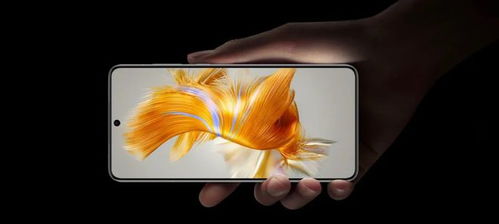 泸州华为线下店有mate60吗,泸州市华为官方售后点