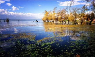 湖北冬季适合旅游,湖北冬季适合旅游的地方