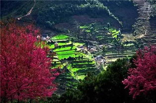 湖北冬季适合旅游,湖北冬季适合旅游的地方