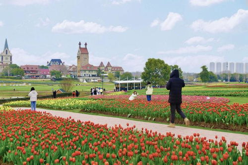 2023湖北旅游业,湖北旅游产业