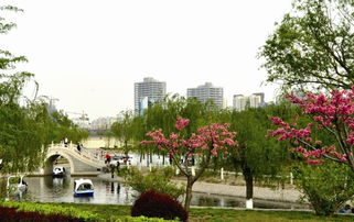 湖北廊坊旅游景点,廊坊旅游攻略必去景点