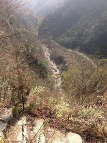 春节到湖北旅游好吗,湖北春节旅游攻略