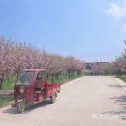 湖北蕲春旅游免费,蕲春周边游