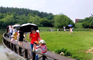 湖北适合和父母旅游,湖北带娃旅游