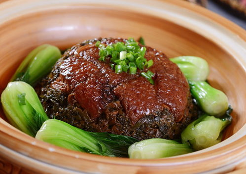 湖北美食肉坨子做法大全,湖北美食肉坨子做法大全视频