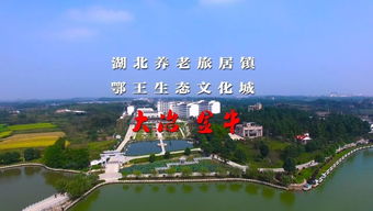 湖北旅游养老公司,湖北的旅游公司