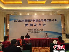 湖北旅游养老公司,湖北的旅游公司