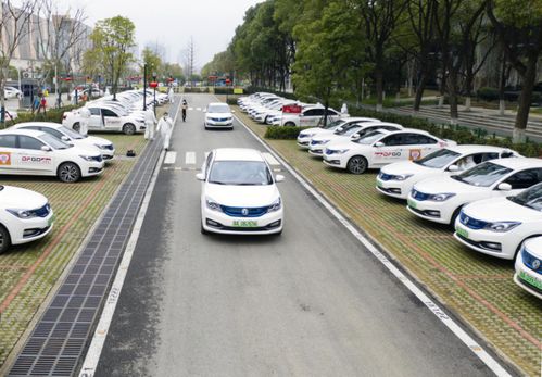 湖北三峡旅游集团的车牌号,三峡旅游公司是国企吗