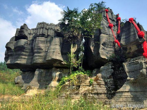 湖北恩施石林攻略旅游,恩施石林是怎么形成的