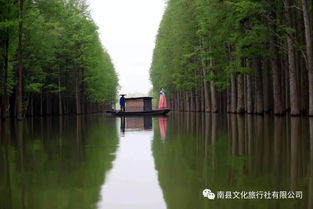湖北省仙桃旅游景点,湖北省仙桃旅游景点有哪些