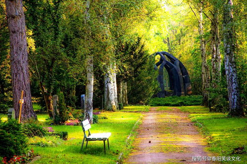 湖北白天旅游景点,松鹿寓意什么