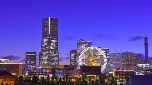 湖北白天旅游景点,松鹿寓意什么