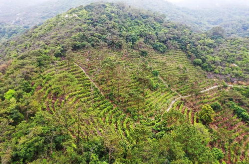 湖北建旅游村,湖北旅游名村2020