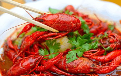 湖北美食小龙虾,湖北美食小龙虾画画图片 湖北美食小龙虾,湖北美食小龙虾画画图片