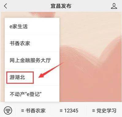 湖北旅游预约不上怎么办,湖北旅游景点预约了没去怎么办