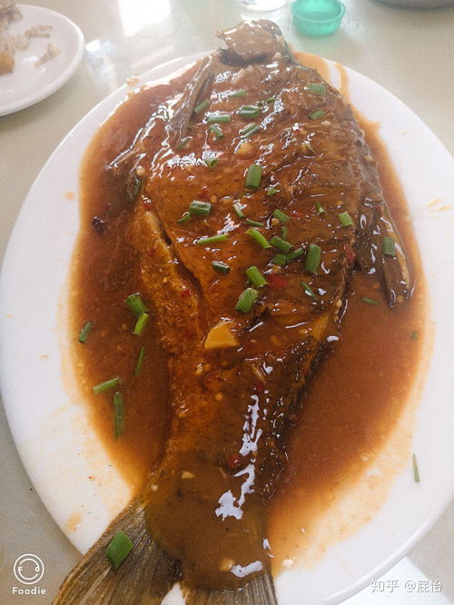 湖北美食学校录取线,湖北美味学院