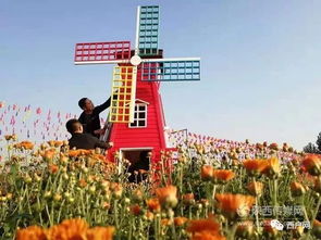 湖北重阳镇旅游,重阳节旅游攻略