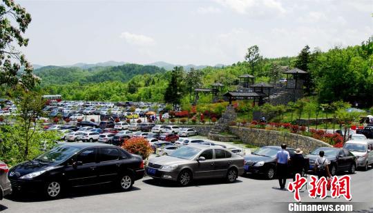 湖北荆门旅游卡丁车,湖北潜江卡丁车