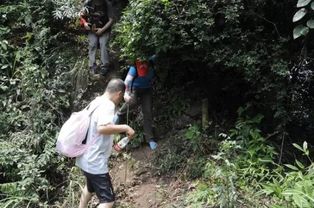 湖北恩施野外旅游,恩施周边适合野炊露营的地方