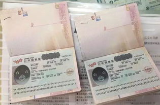 湖北办旅游签证,湖北办旅游签证要多久