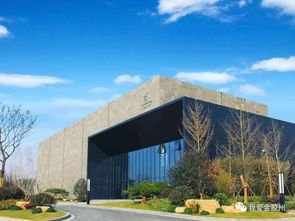 漂流湖北美术馆美食推荐,湖北美术馆有什么好看的