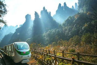 儿童去湖北旅游攻略,湖北旅游景点适合小朋友玩的地方