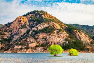 江苏湖北免费旅游,湖北对江苏免门票 江苏湖北免费旅游,湖北对江苏免门票
