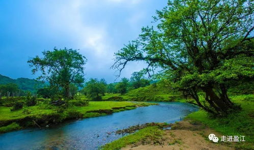 湖北夏日旅游,湖北适合夏天旅游的地方