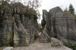 湖北恩施旅游日记,恩施旅游日志 湖北恩施旅游日记,恩施旅游日志