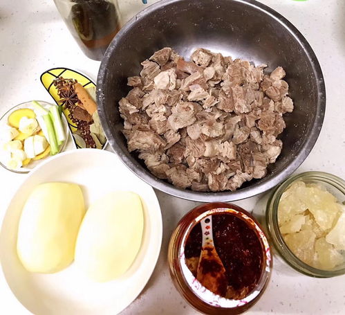 湖北美食菜谱烧牛肉,湖北牛肉的做法大全