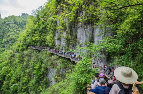 湖北客人旅游,湖北旅游的