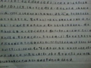 描写湖北美食的片段摘抄,描写湖北美食的片段摘抄100字