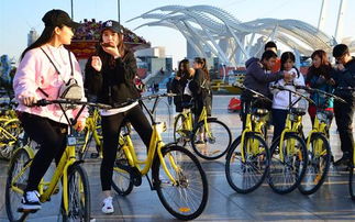 哈罗单车湖北美食,哈罗单车武汉分公司 哈罗单车湖北美食,哈罗单车武汉分公司