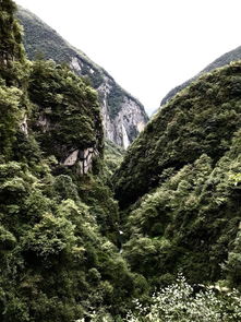 重庆游湖北旅游线路,重庆游湖北旅游线路攻略