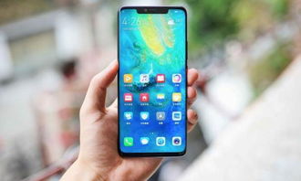 华为mate60京东订货量,华为mate20京东