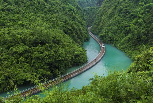 湖北夏天哪里旅游不热,湖北旅游景点夏天