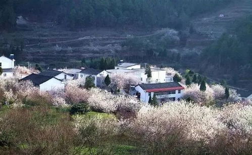 全国旅游村湖北名单,湖北省乡村旅游重点村