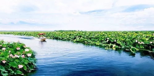 湖北潜江旅游景点有哪里,湖北潜江景点有哪些