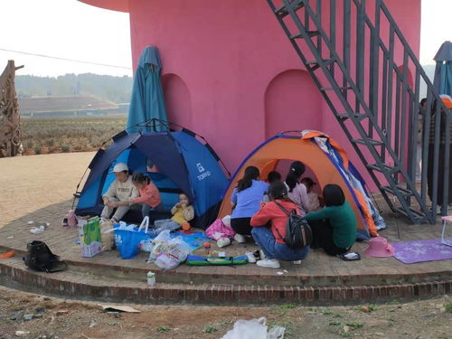 春节去哪旅游湖北,春节去哪旅游湖北最好