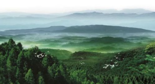 湖北京山旅游假期,湖北京山旅游景点有哪些